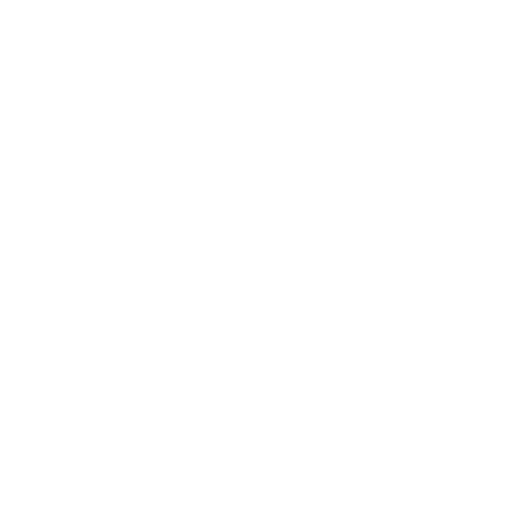 Fisk Governador Valadares